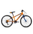Tiger Warriror 24 Inch Orange and Blue